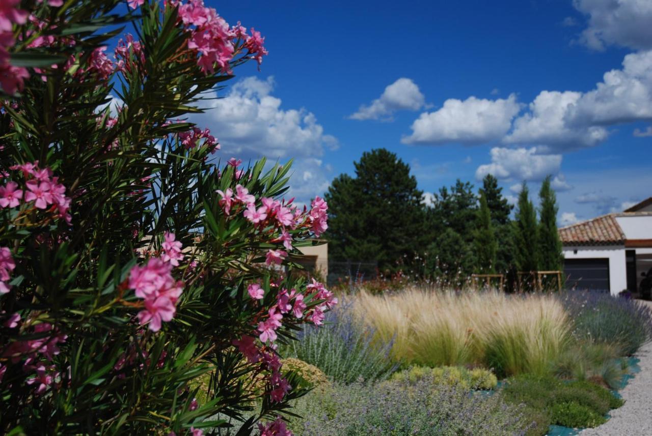 Villa Otilia-Bed And Breakfast-Chambres D'Hotes En Provence Rians  Екстер'єр фото